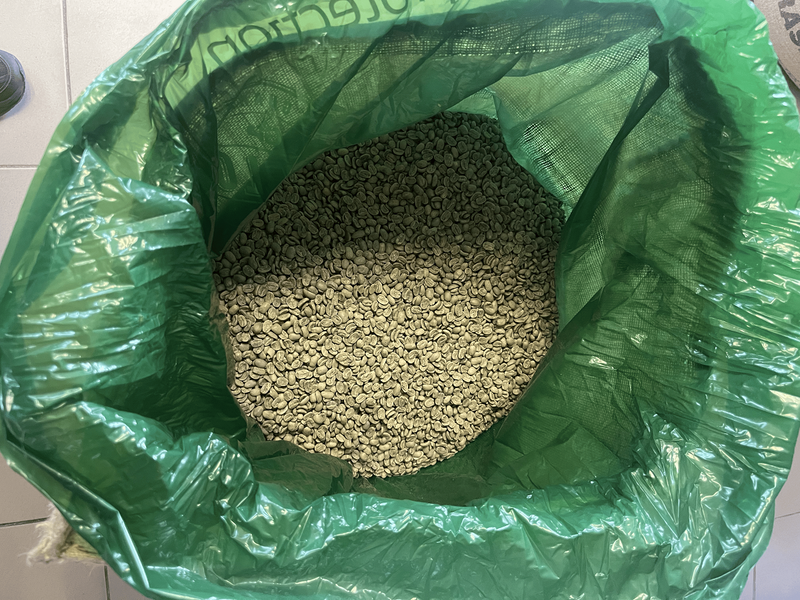 Зелена кава Гватемала Марагоджип у розкритому мішку grain pro, Gran Cafe